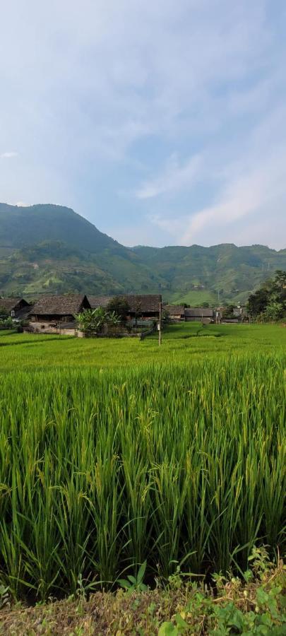 Organic Farm Homestay Sa Pa Exterior foto