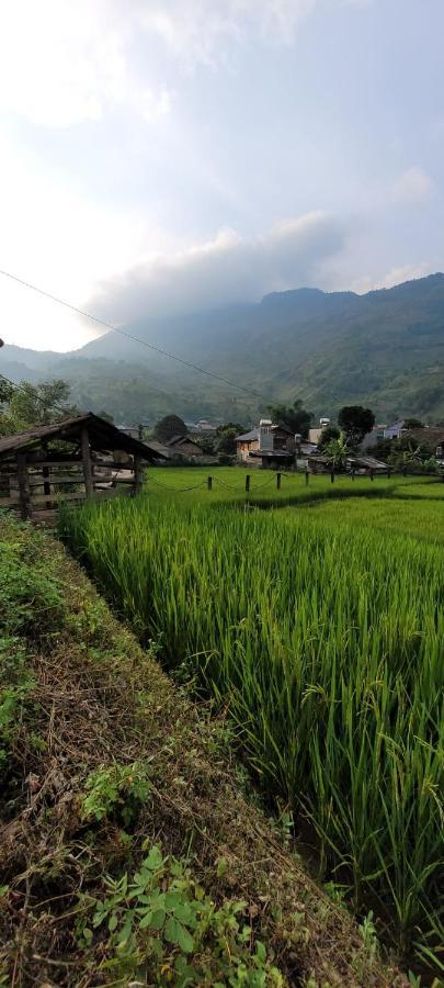 Organic Farm Homestay Sa Pa Exterior foto