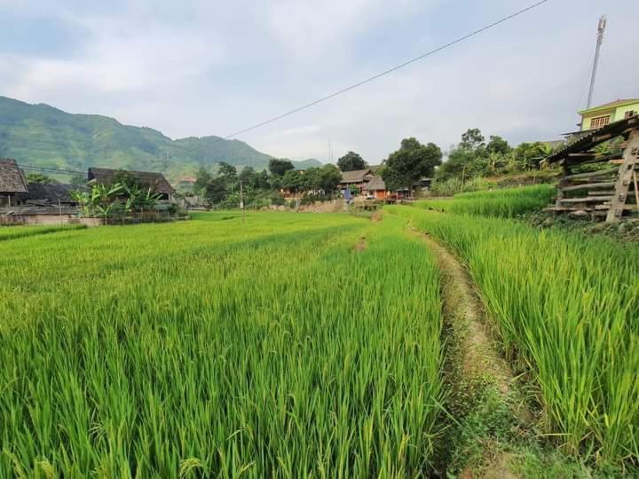 Organic Farm Homestay Sa Pa Exterior foto